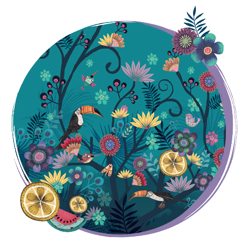 Toucans